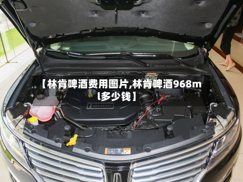 【林肯啤酒费用图片,林肯啤酒968ml多少钱】