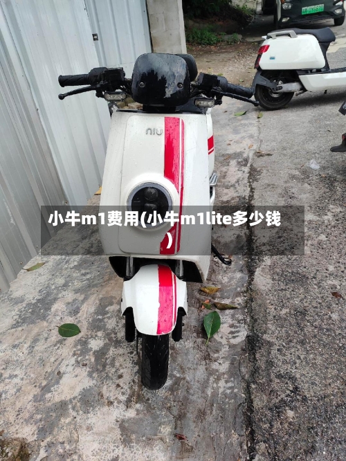 小牛m1费用(小牛m1lite多少钱)