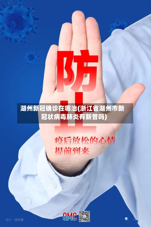 湖州新冠确诊在哪治(浙江省湖州市新冠状病毒肺炎有新曾吗)