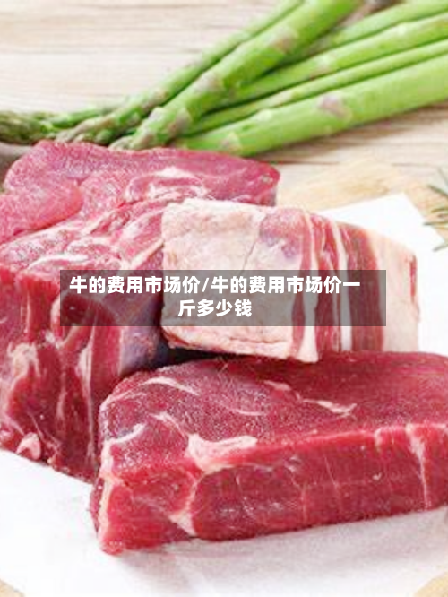 牛的费用市场价/牛的费用市场价一斤多少钱