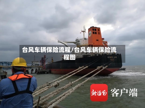 台风车辆保险流程/台风车辆保险流程图-第2张图片