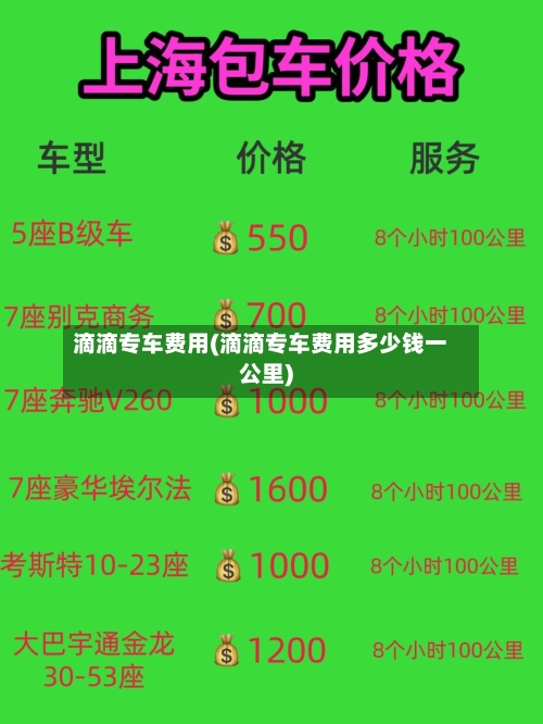 滴滴专车费用(滴滴专车费用多少钱一公里)