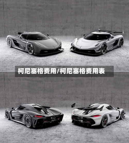 柯尼塞格费用/柯尼塞格费用表-第3张图片