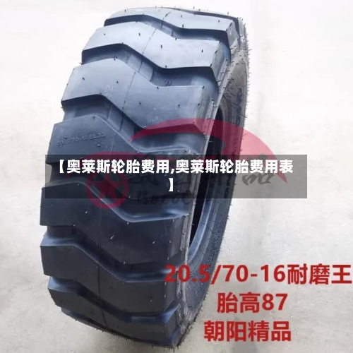 【奥莱斯轮胎费用,奥莱斯轮胎费用表】-第2张图片