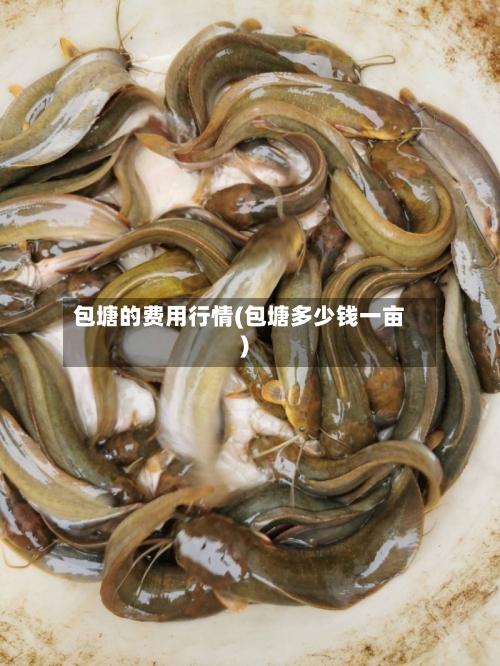 包塘的费用行情(包塘多少钱一亩)-第2张图片
