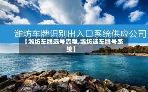 【潍坊车牌选号流程,潍坊选车牌号系统】