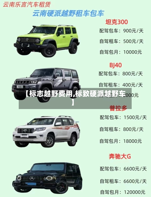 【标志越野费用,标致硬派越野车】
