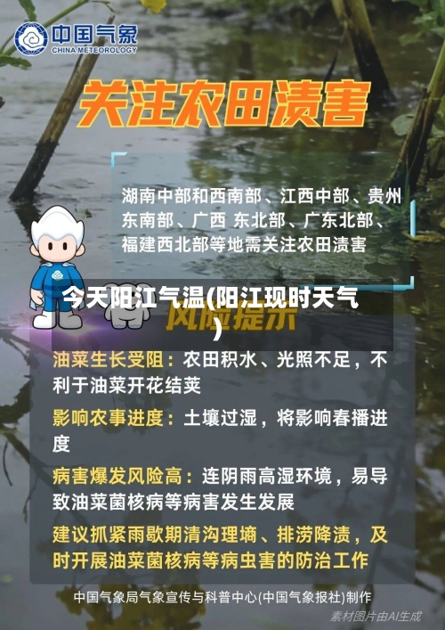 今天阳江气温(阳江现时天气)-第2张图片