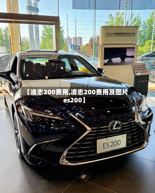 【凌志200费用,凌志200费用及图片es200】-第2张图片