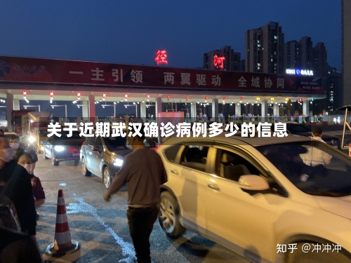 关于近期武汉确诊病例多少的信息