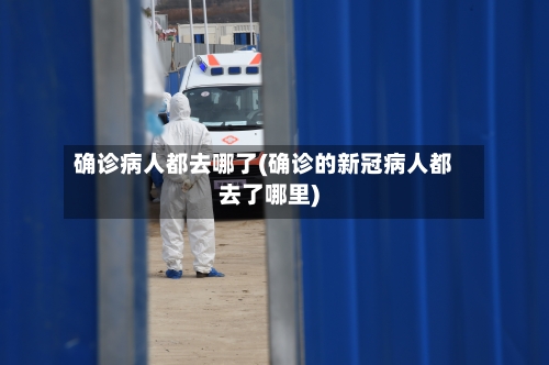 确诊病人都去哪了(确诊的新冠病人都去了哪里)