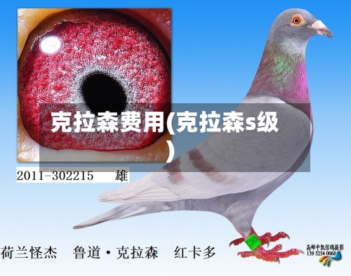 克拉森费用(克拉森s级)-第2张图片