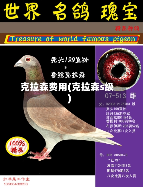 克拉森费用(克拉森s级)-第3张图片