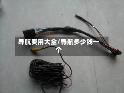 导航费用大全/导航多少钱一个-第2张图片