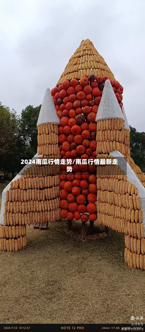 2024南瓜行情走势/南瓜行情最新走势-第2张图片