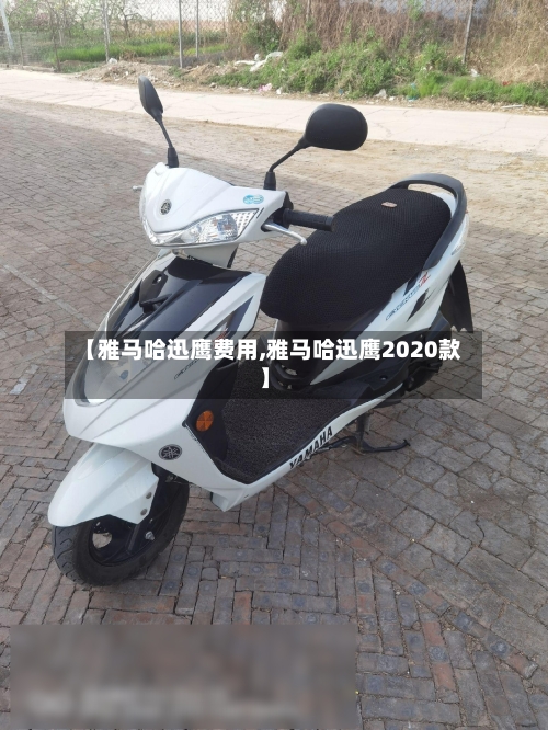 【雅马哈迅鹰费用,雅马哈迅鹰2020款】-第2张图片