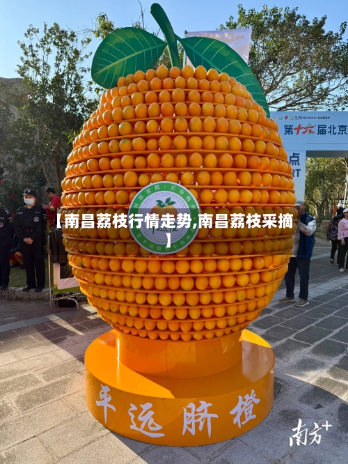 【南昌荔枝行情走势,南昌荔枝采摘】