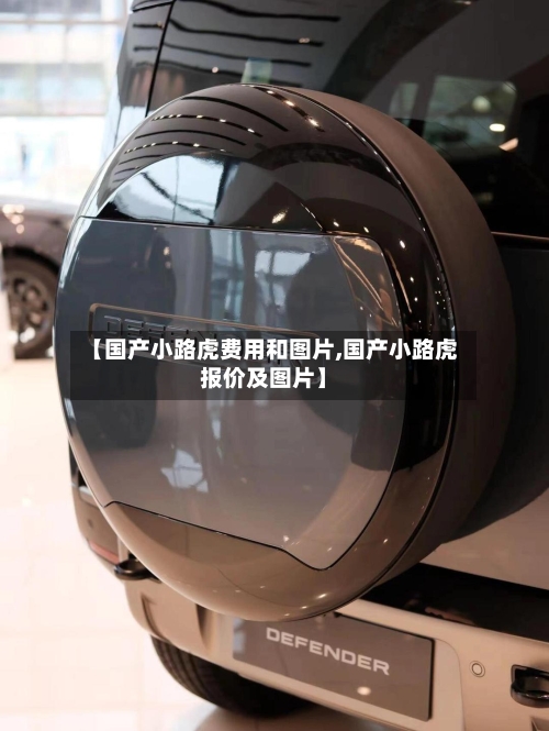 【国产小路虎费用和图片,国产小路虎报价及图片】-第2张图片