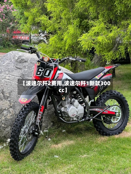 【波速尔歼2费用,波速尔歼1新款300cc】-第2张图片