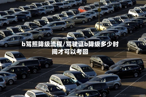 b驾照降级流程/驾驶证b降级多少时间才可以考回-第2张图片