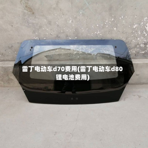 雷丁电动车d70费用(雷丁电动车d80锂电池费用)-第2张图片