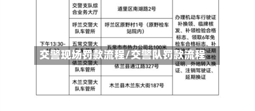 交警现场罚款流程/交警队罚款流程