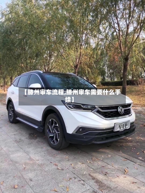 【滕州审车流程,滕州审车需要什么手续】-第3张图片