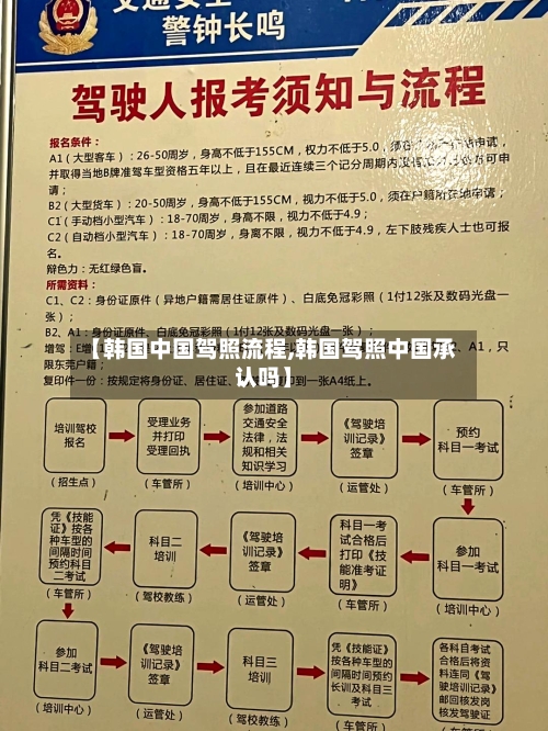 【韩国中国驾照流程,韩国驾照中国承认吗】-第3张图片