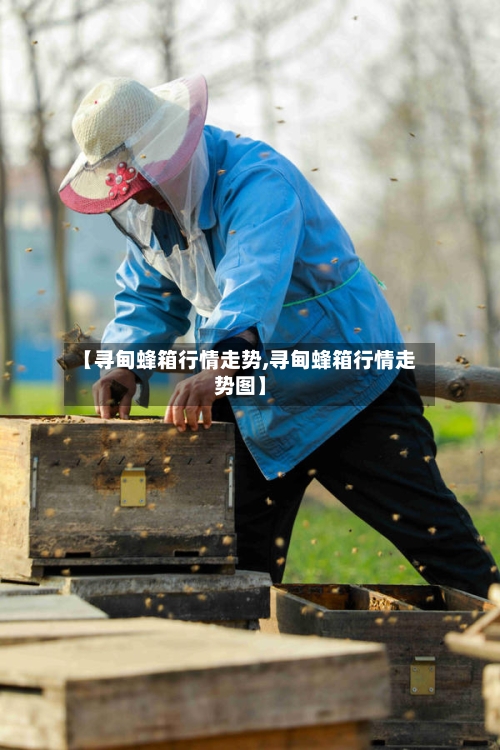 【寻甸蜂箱行情走势,寻甸蜂箱行情走势图】-第2张图片