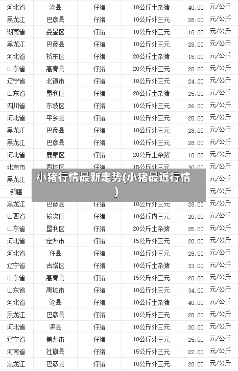小猪行情最新走势(小猪最近行情)-第2张图片