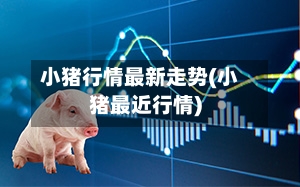 小猪行情最新走势(小猪最近行情)