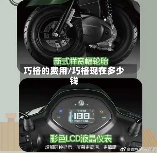 巧格的费用/巧格现在多少钱-第2张图片