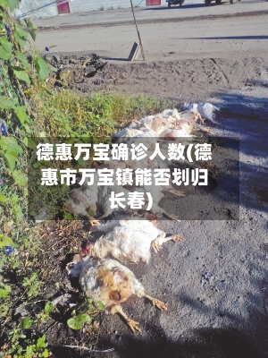 德惠万宝确诊人数(德惠市万宝镇能否划归长春)-第2张图片