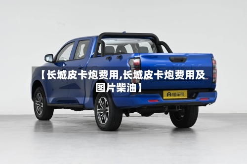【长城皮卡炮费用,长城皮卡炮费用及图片柴油】-第2张图片