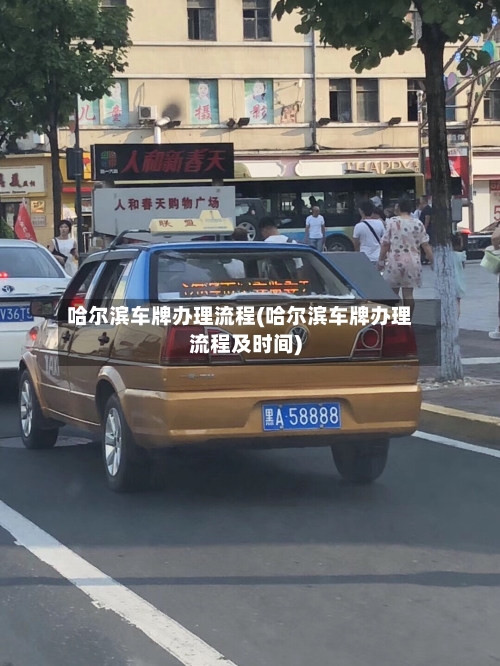 哈尔滨车牌办理流程(哈尔滨车牌办理流程及时间)-第2张图片