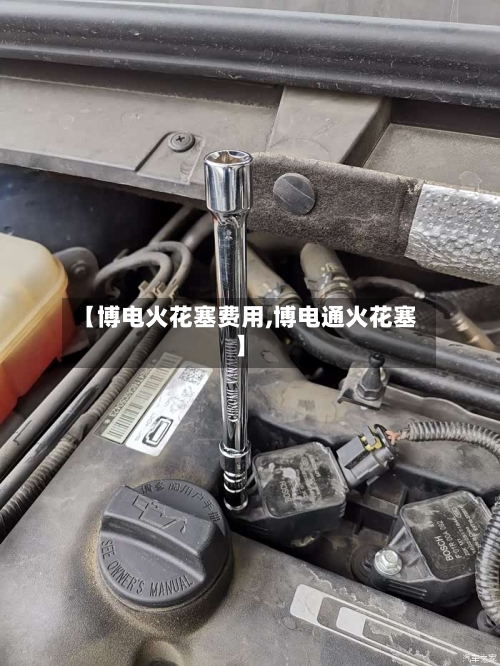 【博电火花塞费用,博电通火花塞】-第2张图片