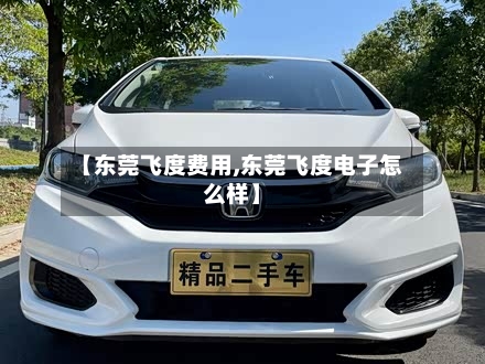 【东莞飞度费用,东莞飞度电子怎么样】-第2张图片