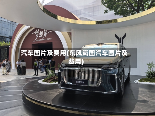 汽车图片及费用(东风岚图汽车图片及费用)