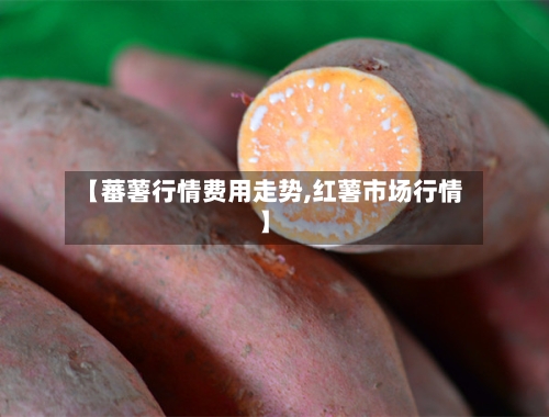 【蕃薯行情费用走势,红薯市场行情】-第2张图片