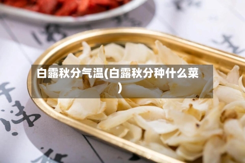 白露秋分气温(白露秋分种什么菜)