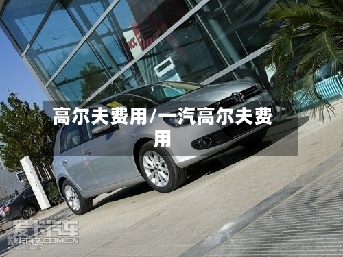高尔夫费用/一汽高尔夫费用-第3张图片