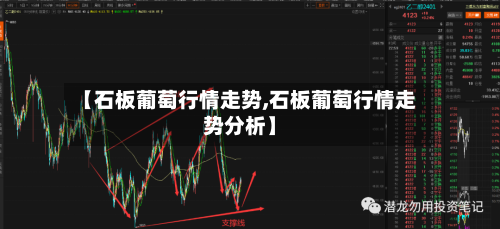 【石板葡萄行情走势,石板葡萄行情走势分析】