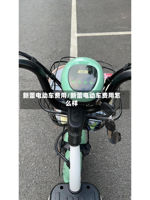 新蕾电动车费用/新蕾电动车费用怎么样