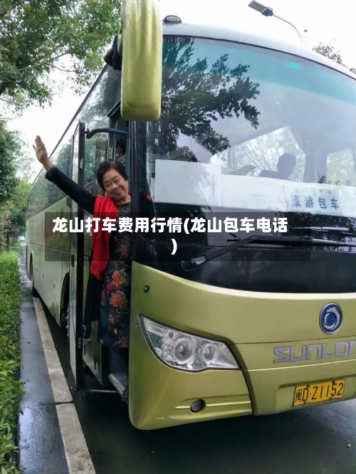 龙山打车费用行情(龙山包车电话)-第2张图片