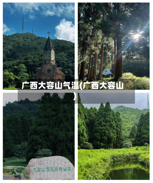广西大容山气温(广西大容山)-第3张图片