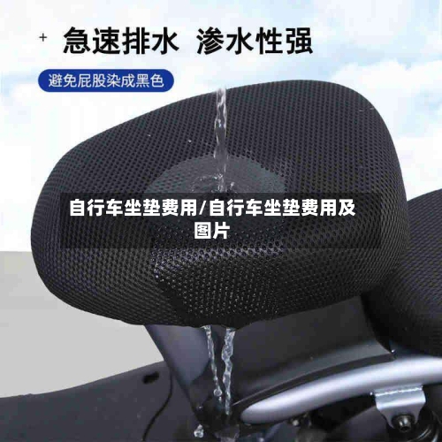 自行车坐垫费用/自行车坐垫费用及图片-第2张图片