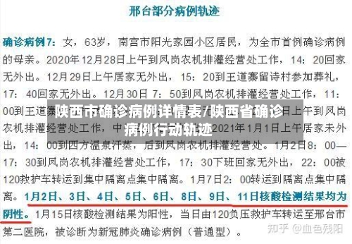 陕西市确诊病例详情表/陕西省确诊病例行动轨迹-第2张图片