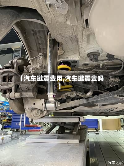 【汽车避震费用,汽车避震贵吗】-第2张图片