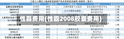 性霸费用(性霸2008胶囊费用)