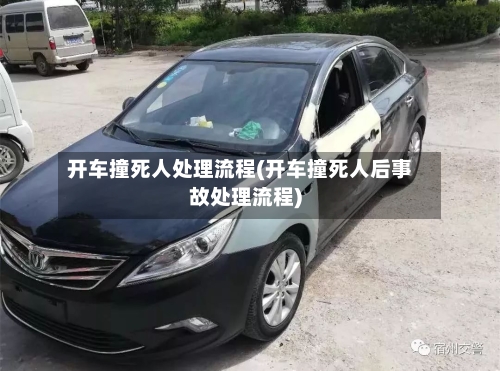 开车撞死人处理流程(开车撞死人后事故处理流程)